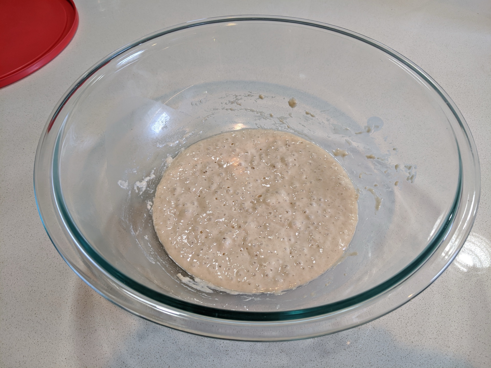 Toast Worthy Bread - Day 2
