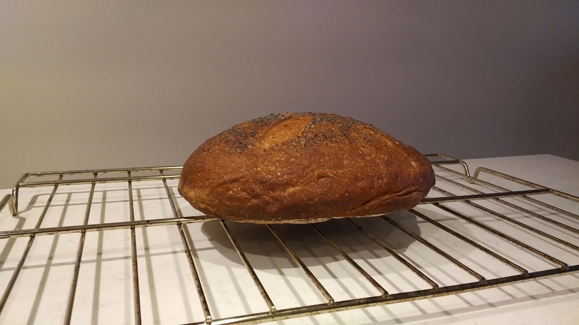 Amaranth Sourdough Loaf Part Two