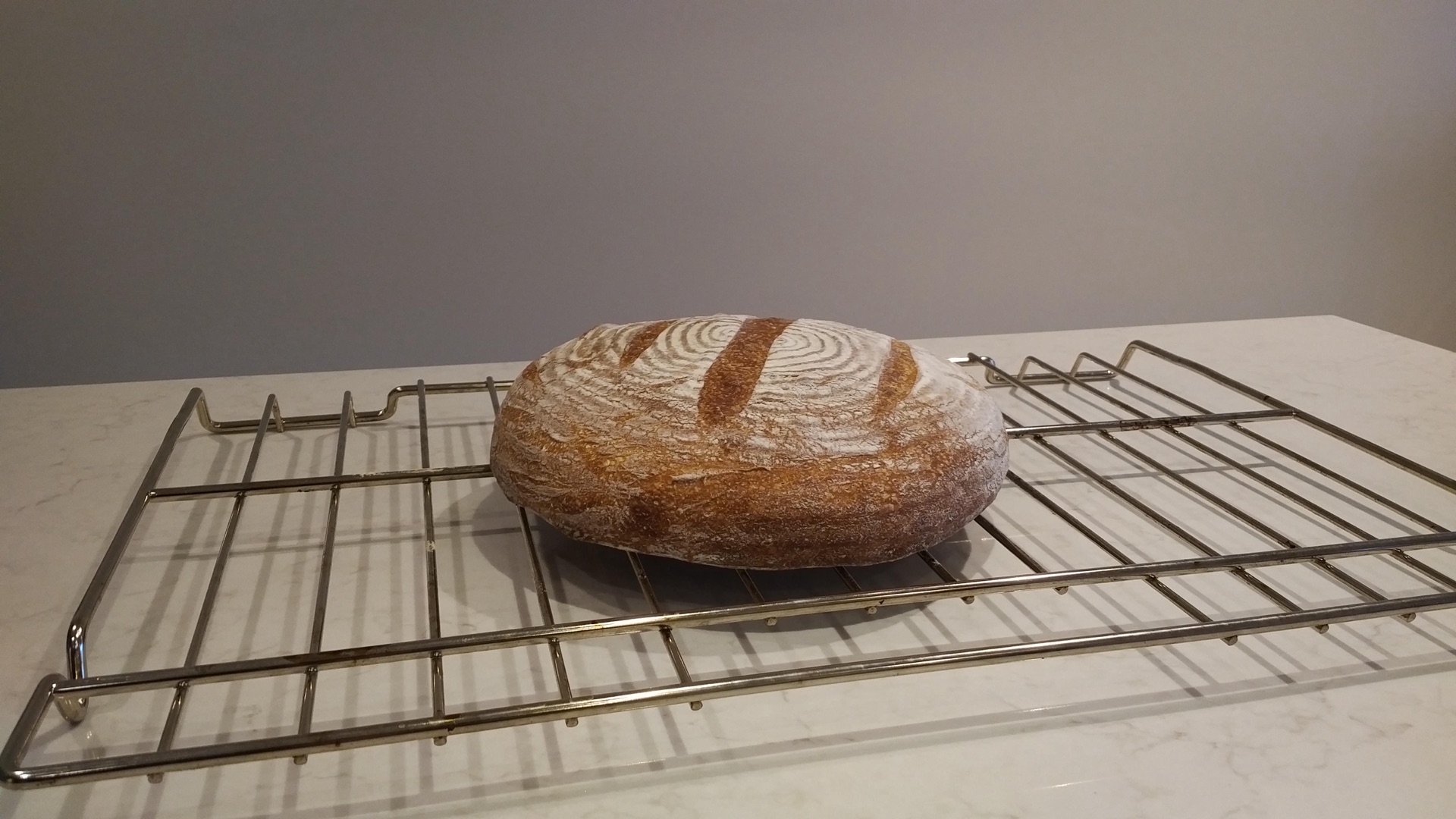 Whole Wheat Loaf (2 of 2)
