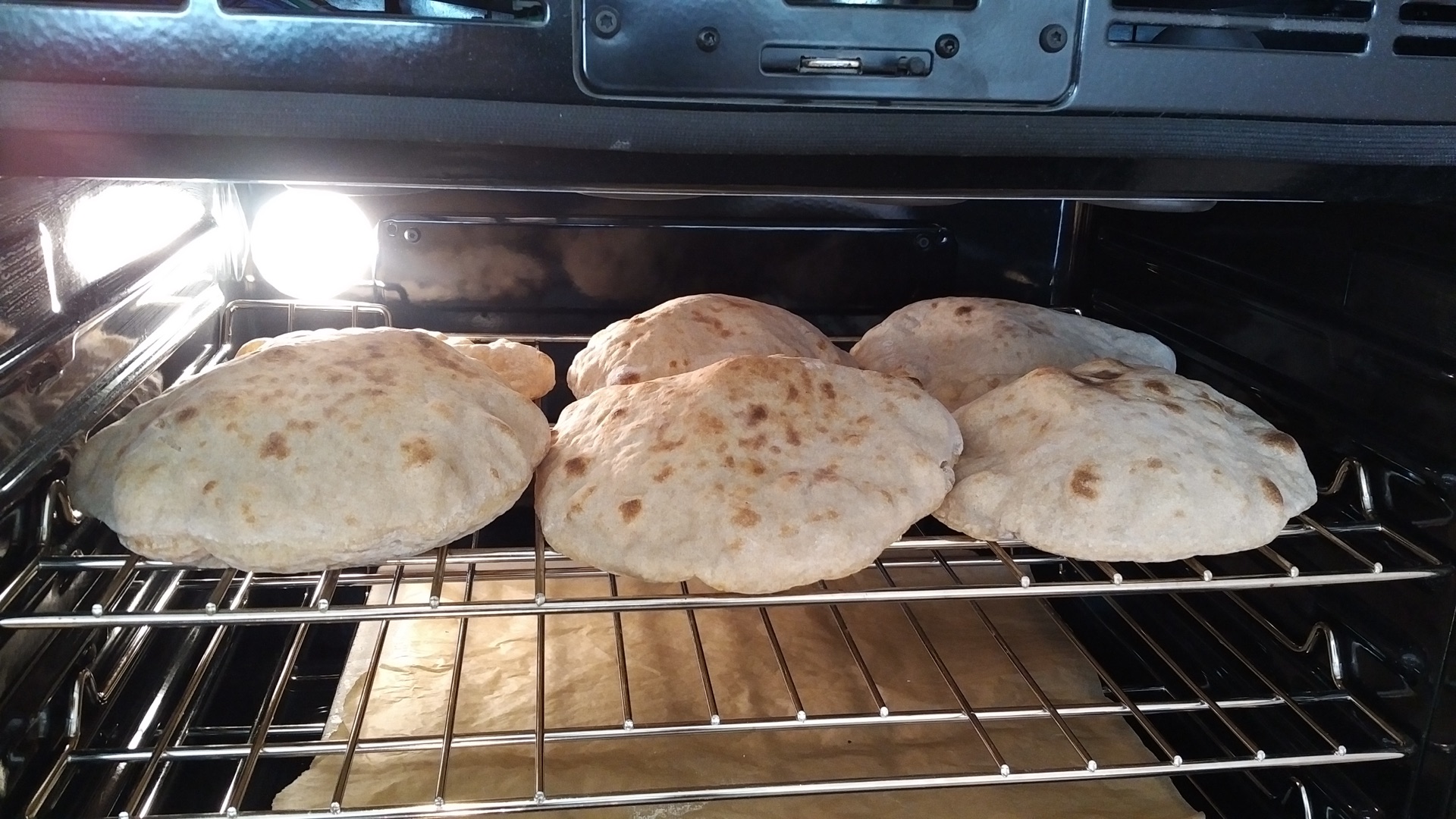 Chewy Pita Day Two