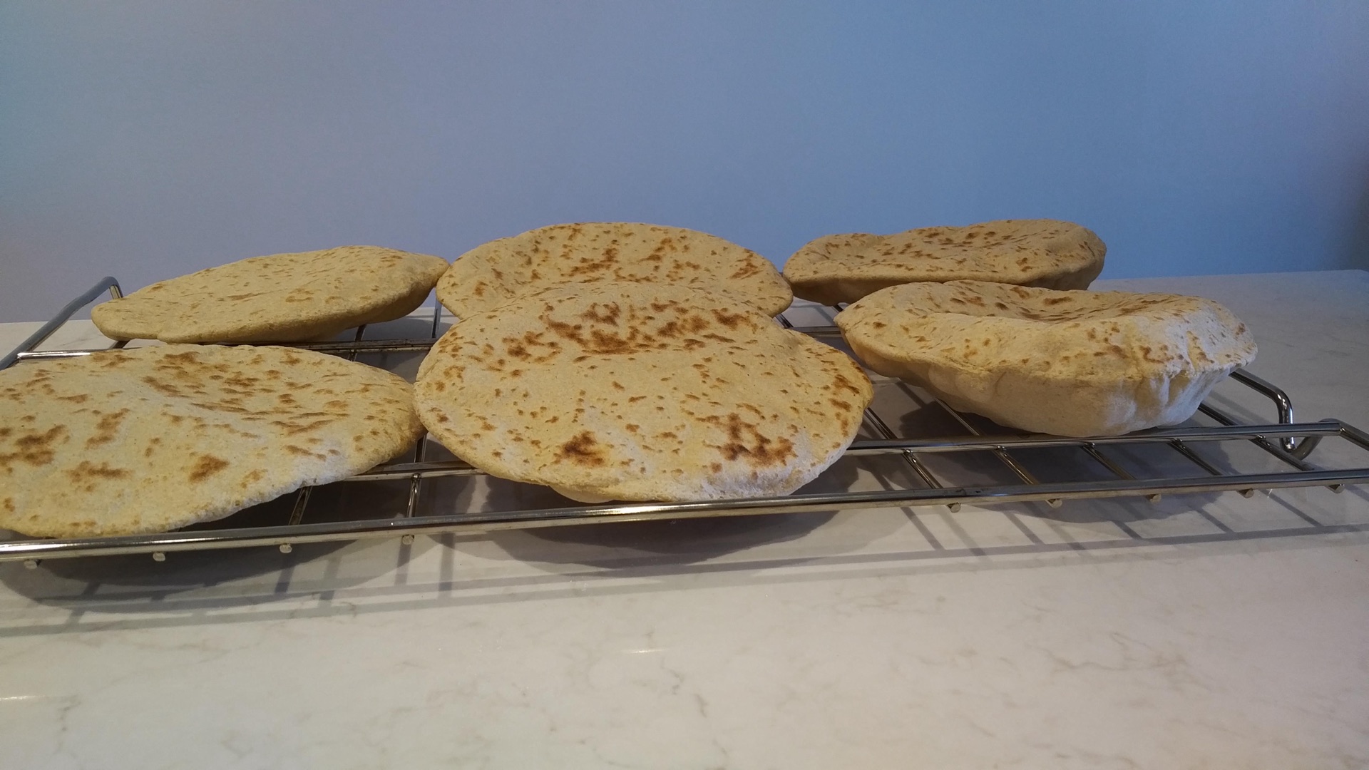 Whole Wheat Pita