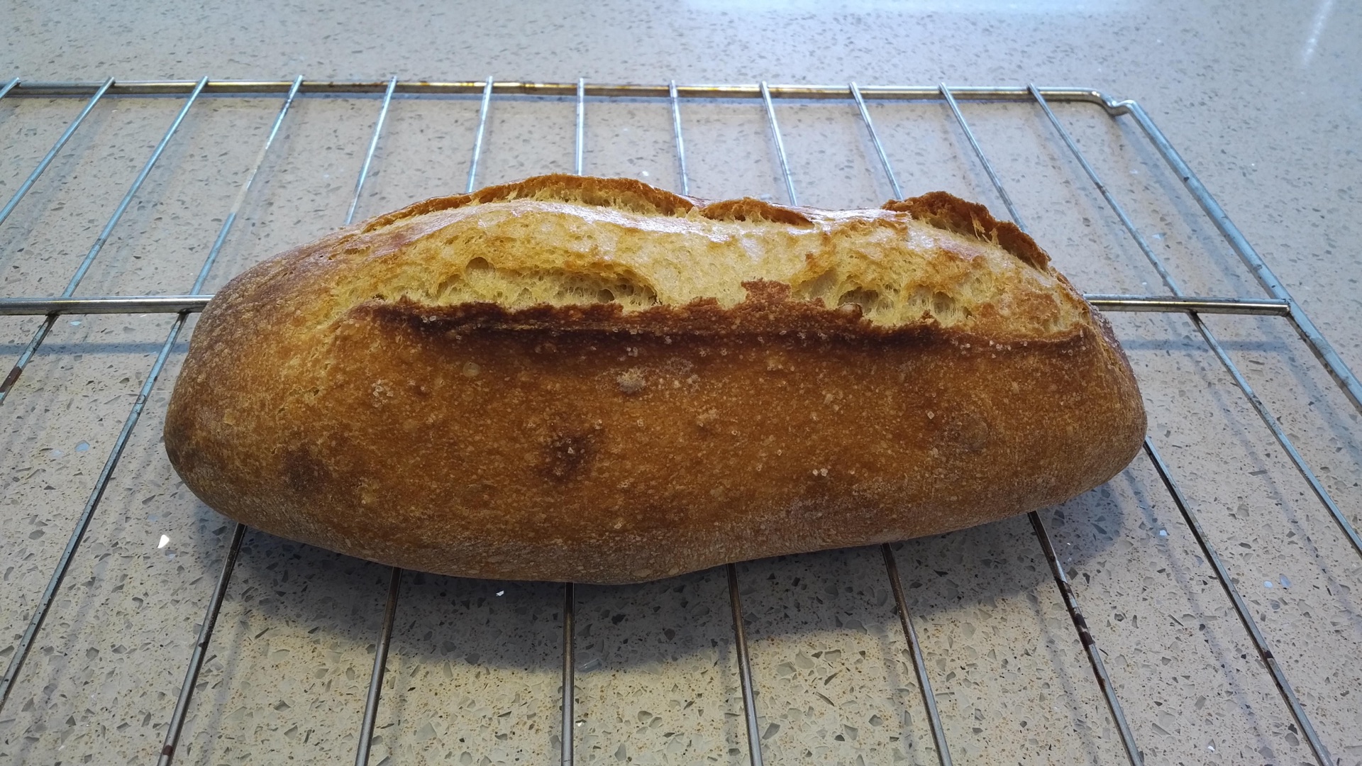 Salty Einkorn Loaf Part 2