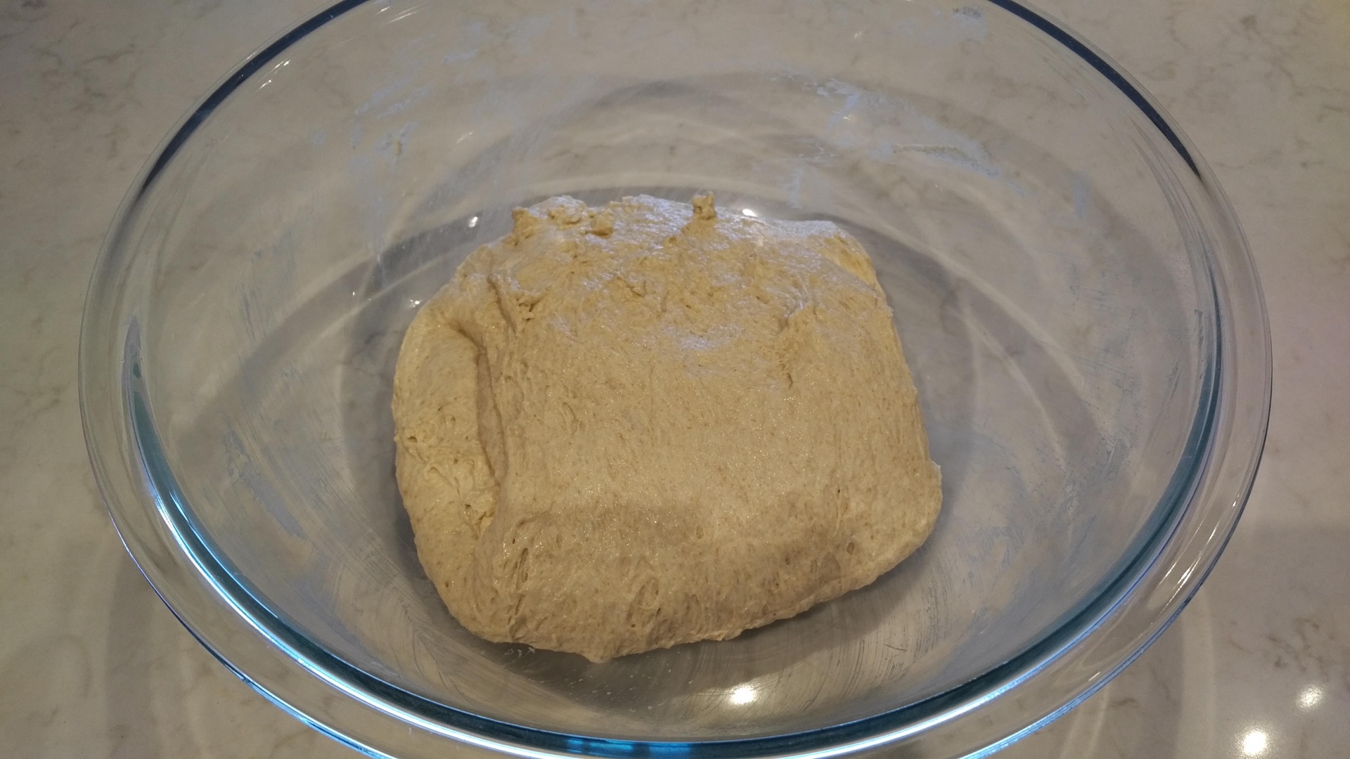 Multigrain Fermenter Day One