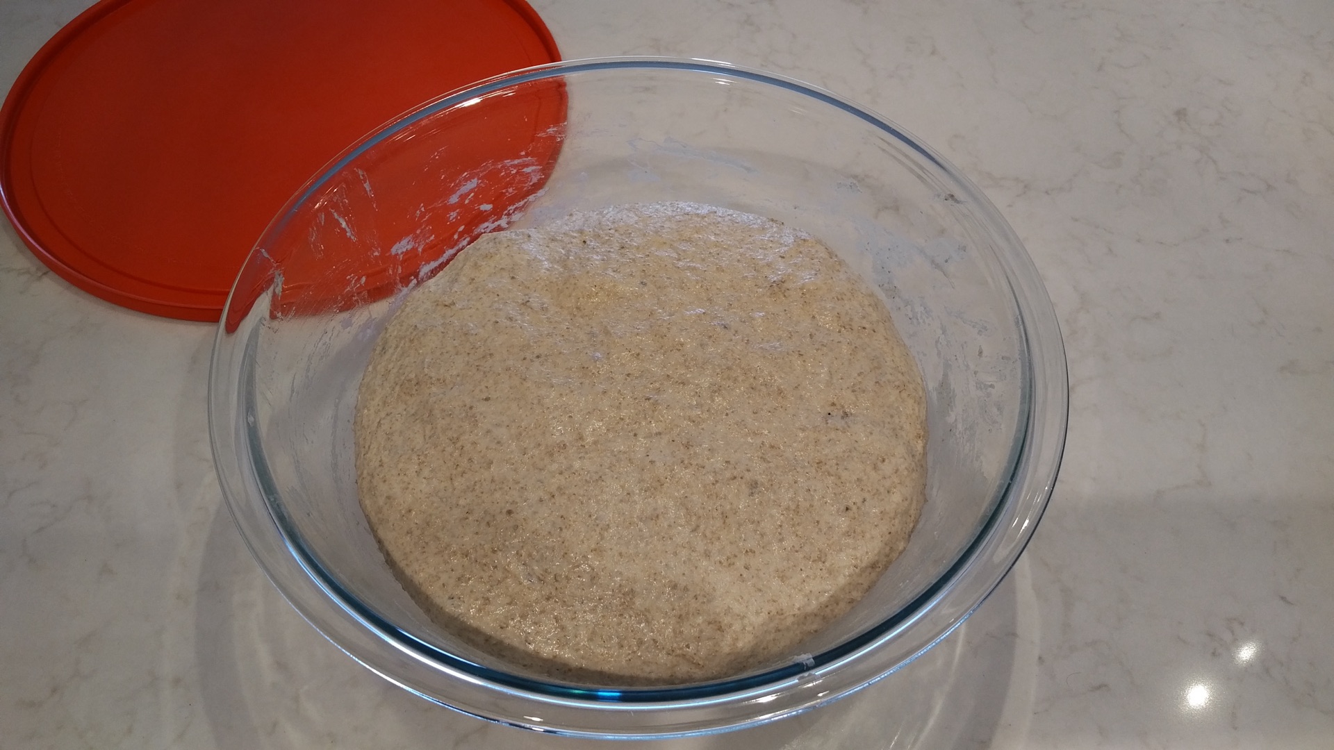 Risen Dough