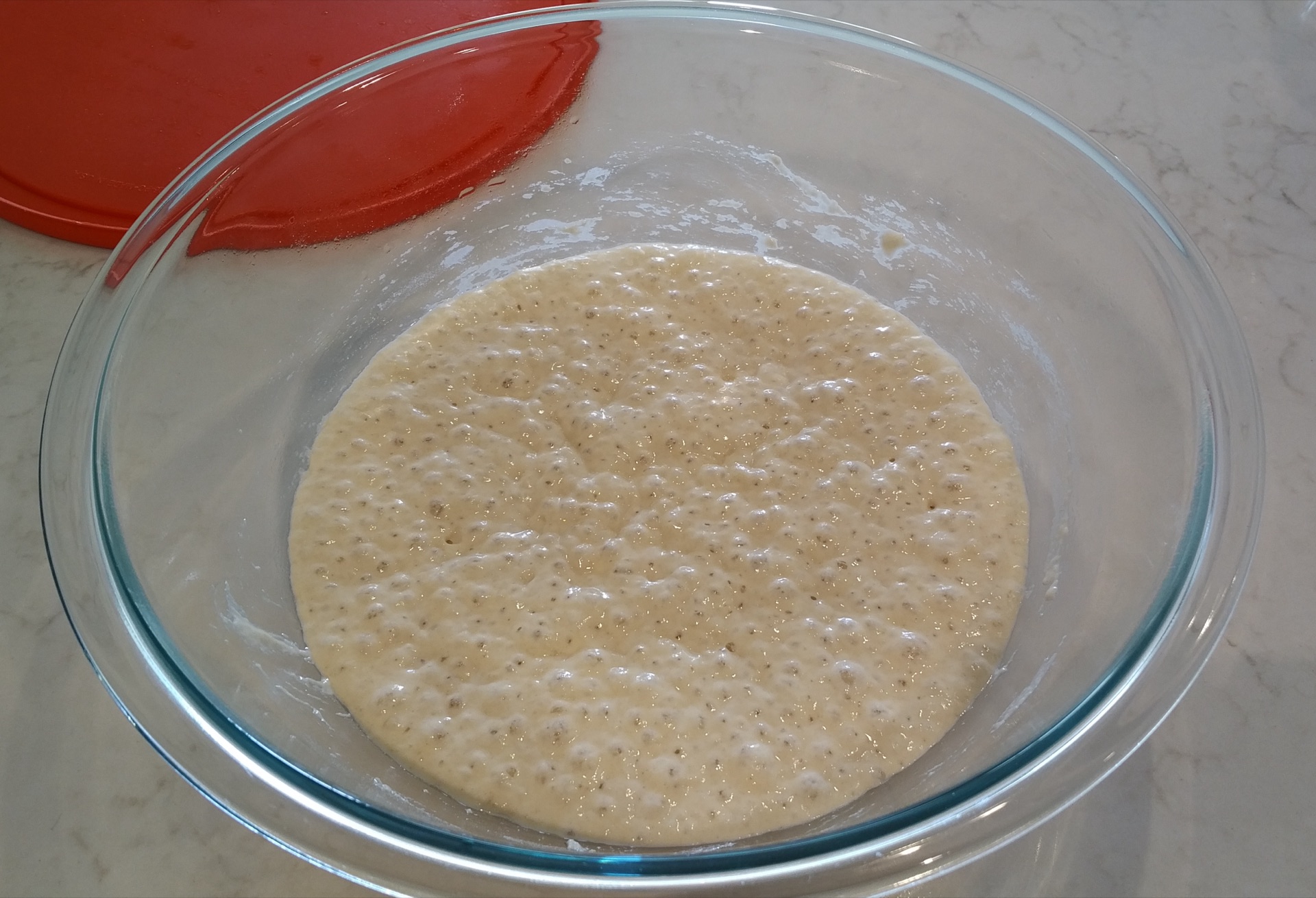 Starter with 200g flour and 200g water and a little yeast
