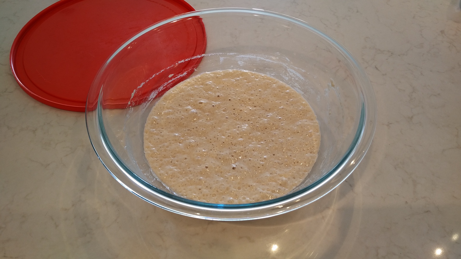 Bubbly starter