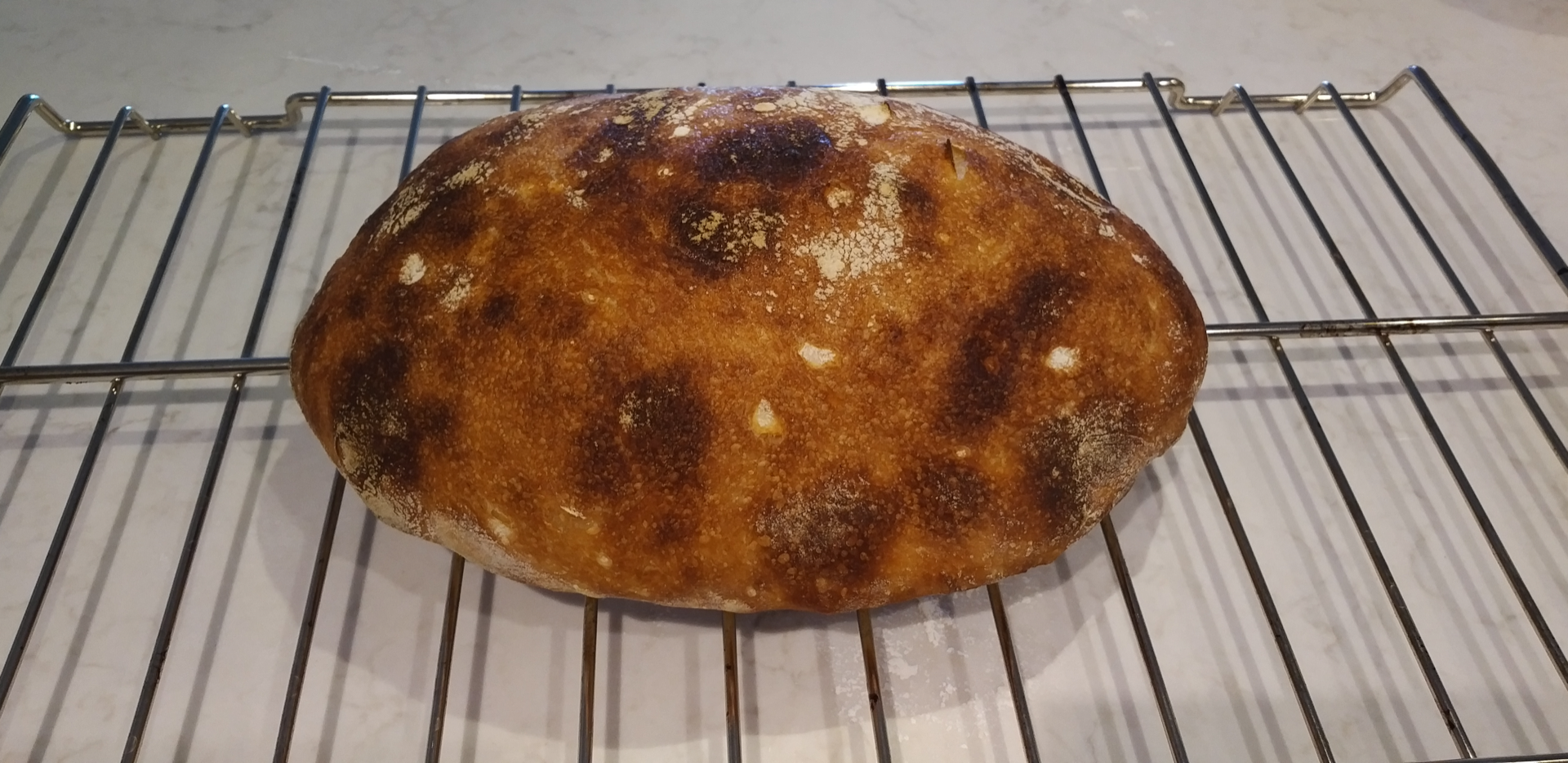 Ciabatta