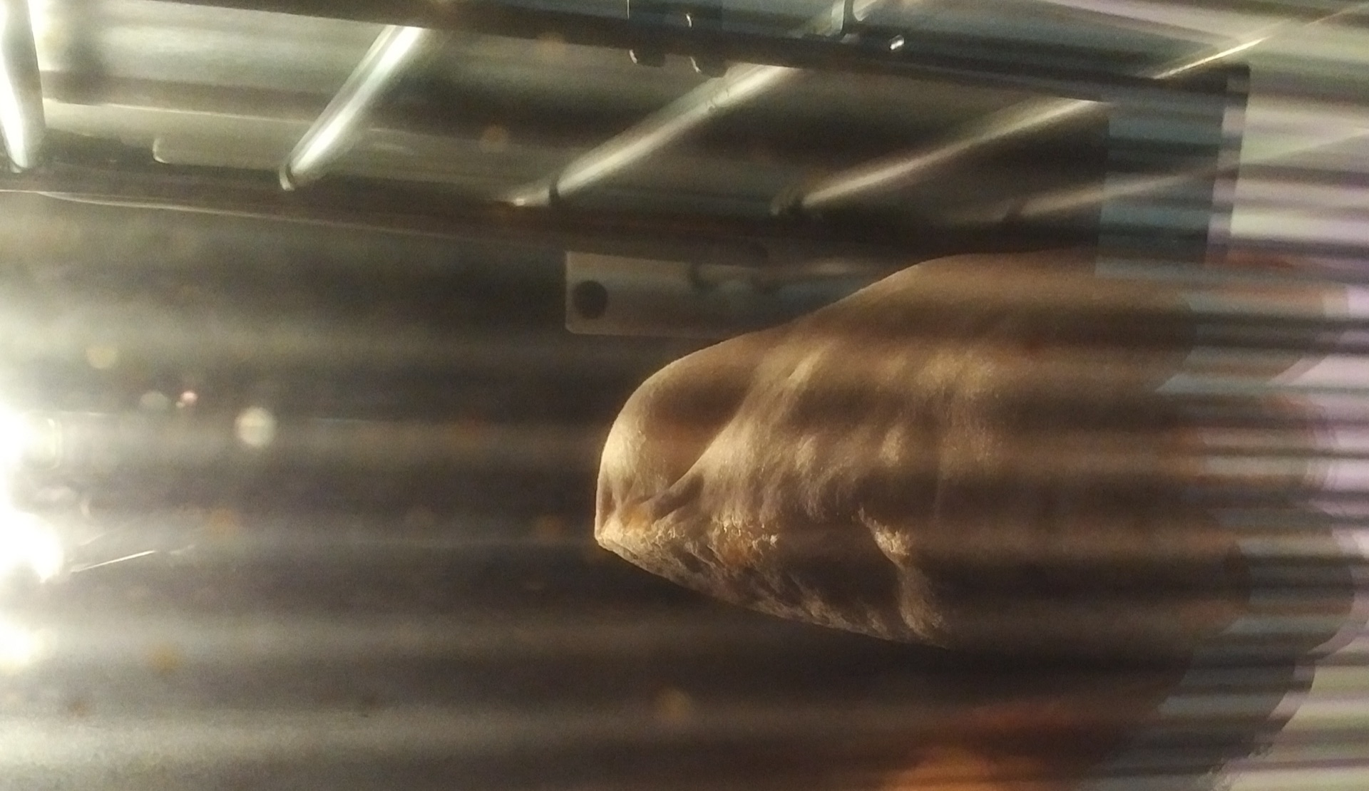 Fifth loaf puffs up