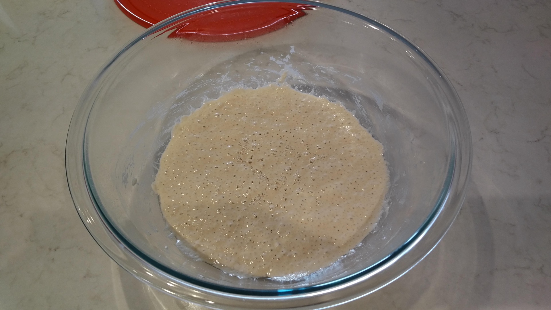 Sour Ciabatta II