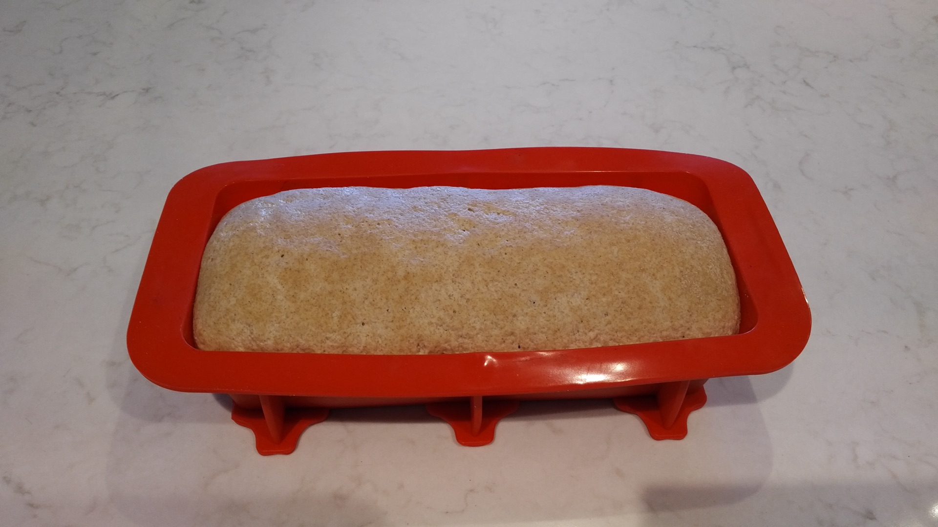 Proofed dough